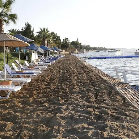 Medis Çeşme