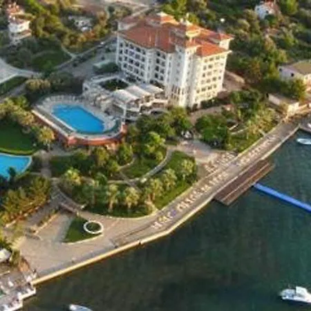 Complex Medis